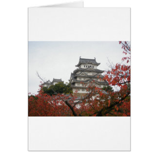 Voyage Château Himeji