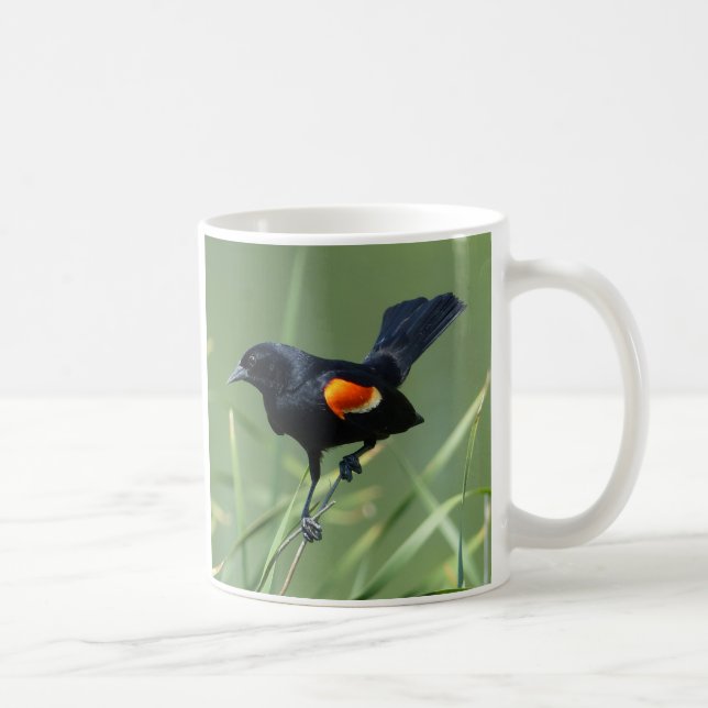 Voyage dans la nature Mug d'oiseaux noirs à ailes  (Droite)