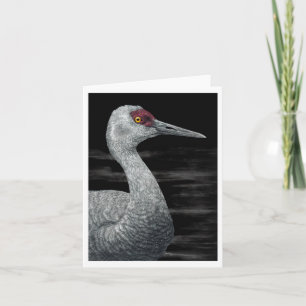 "Voyageur Ancien" - Carte Sandhill Crane