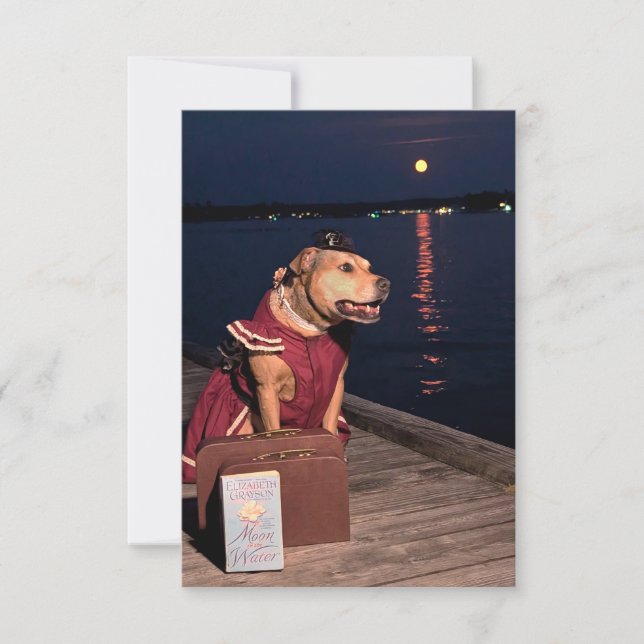 Voyageur Sailor Chien drôle costume livre carte po (Devant)