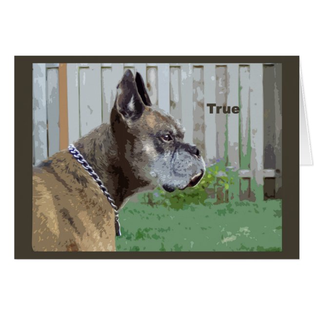 Vrai (Devant horizontal)