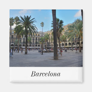 Vrai aimant de plaza