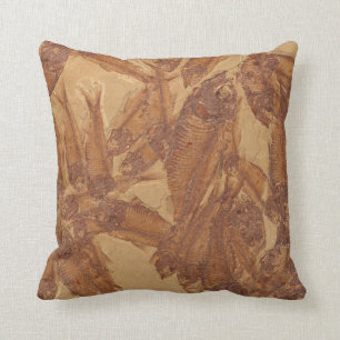 Vrai coussin fossile d'image