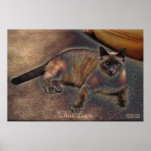 VRAI LOVE Kitty Art Poster