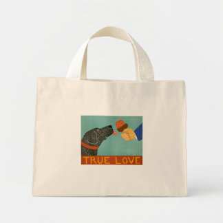 Vrai Sac fourre-tout d'amour