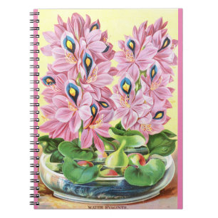 VTG Carnet Spiral Botanique Hyacinthe