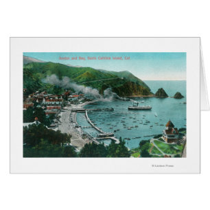 Vue aérienne d'Avalon et de baie