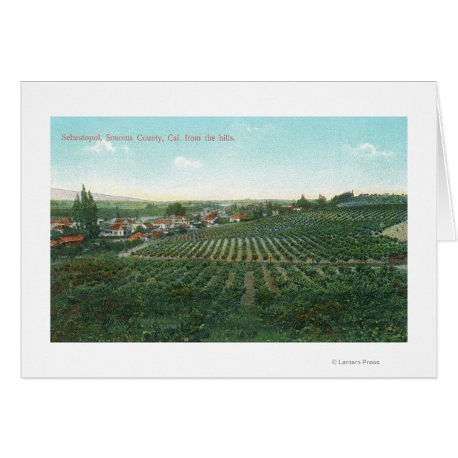 Vue aérienne de la ville, comté de Sonoma depuis l (Devant horizontal)