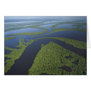 Vue aérienne de l'archipel d'Anavilhanas, inondé