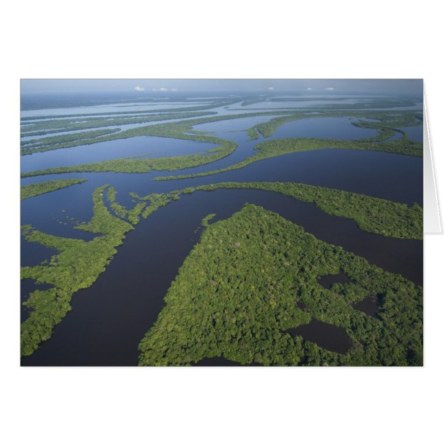 Vue aérienne de l'archipel d'Anavilhanas, inondé (Devant horizontal)