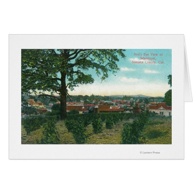 Vue aérienne de TownSebastopol, CA (Devant horizontal)