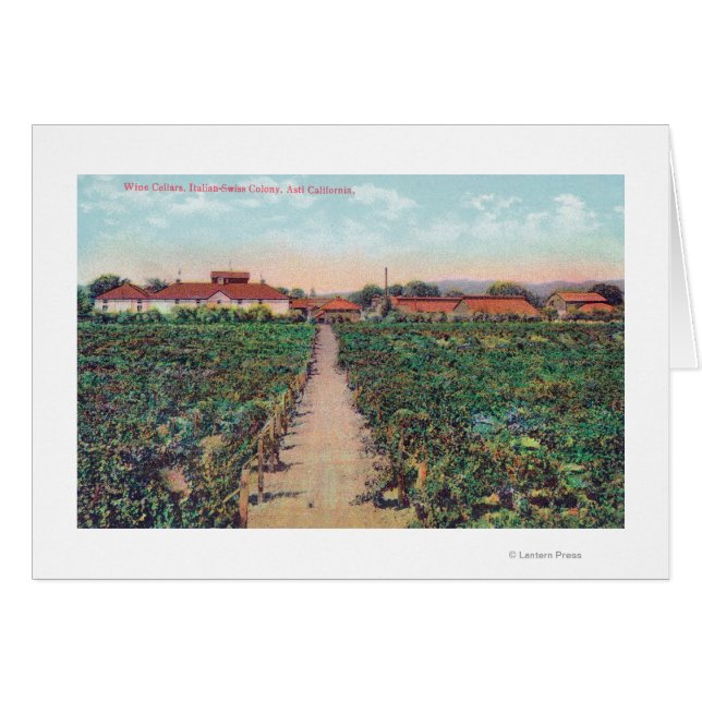 Vue aérienne des vignobles et caves à vin (Devant horizontal)