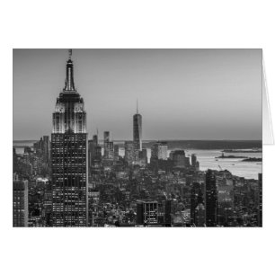 Vue aérienne en noir et blanc de New York City Nig