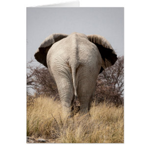 Vue arrière de l'éléphant