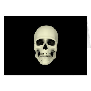 Vue Avant Du Crâne Humain