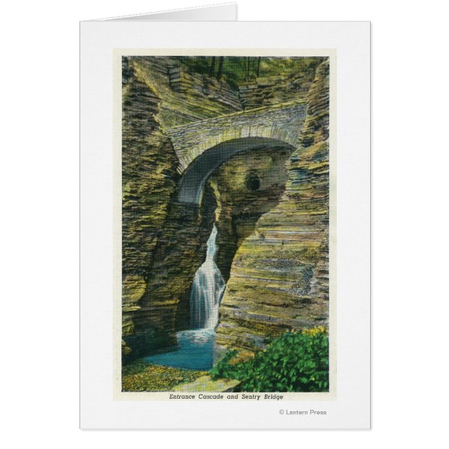 Vue Cascade d'entrée et Pont de sentinelle (Devant)