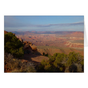 Vue de Canyonlands depuis le sentier Grand View Po