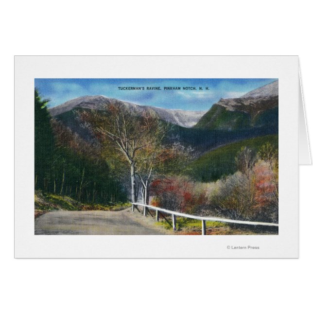 Vue de la ravine de Tuckermans (Devant horizontal)