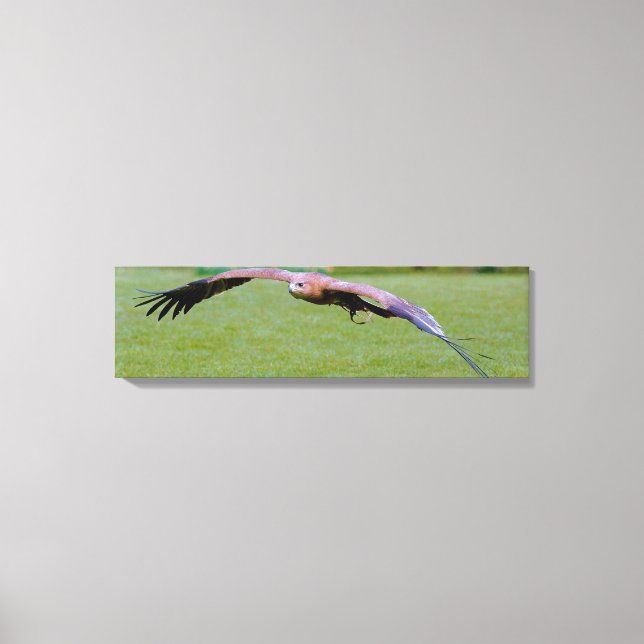 Vue de l'oeil d'oiseau sur toile panoramique (Recto)