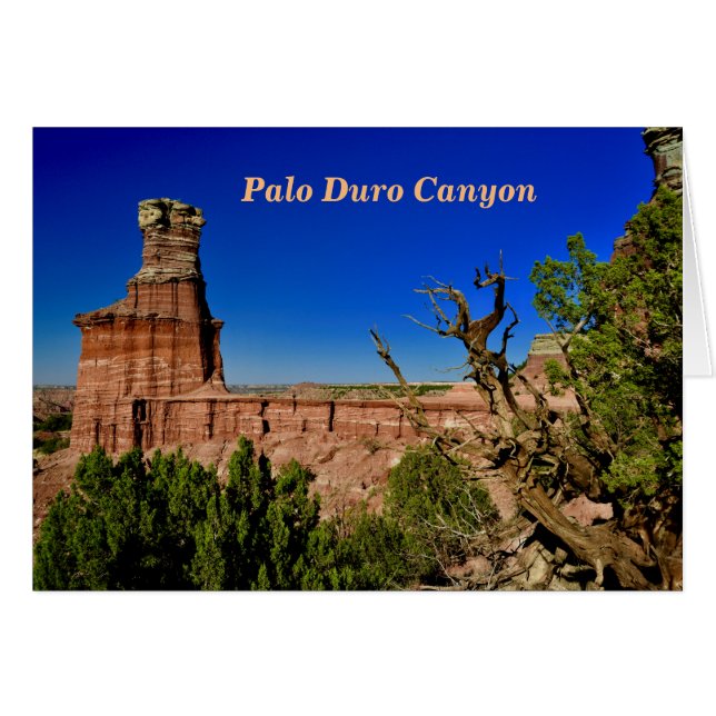 Vue de phare dans le Duro de Palo (Devant horizontal)