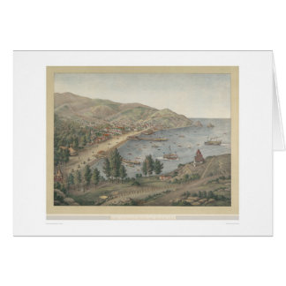Vue de port d'Avalon, île de Père Noël Catalina