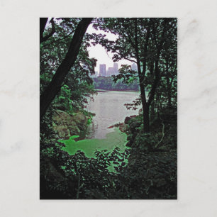 Vue de Ramble-Central Park Carte postale colorée