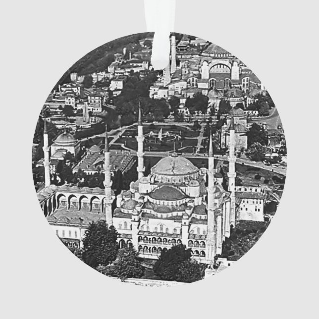 Vue d'ensemble de la mosquée bleue d'Istanbul en T (dos)