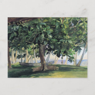 'Vue depuis la cabane' - Carte postale John LaFarg