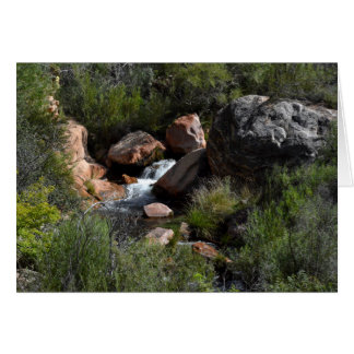 Vue depuis North Kaibab Trail, Grand Canyon
