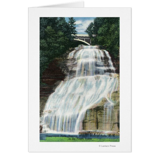 Vue des chutes Chequagah (Devant)