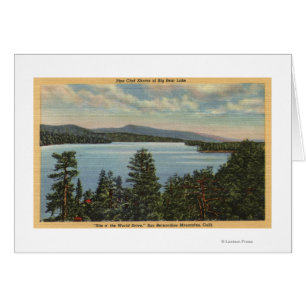 Vue des rivages plaqués de pin du lac