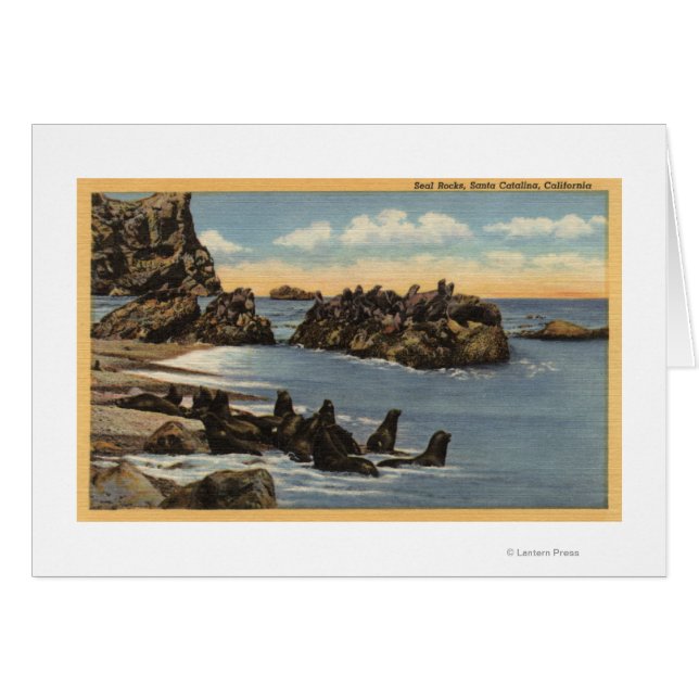 Vue des rochers de phoque avec phoques (Devant horizontal)