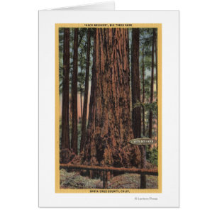 Vue du "brise-cou" à Big Trees Park