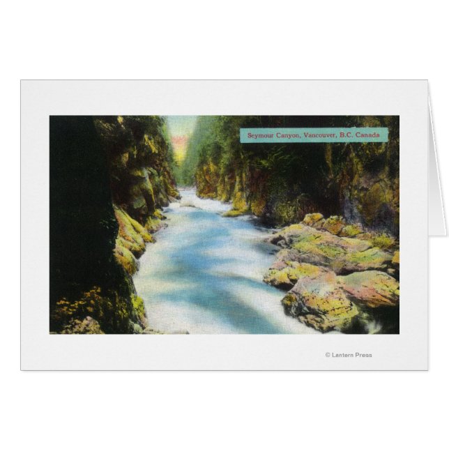 Vue du canyon Seymour (Devant horizontal)