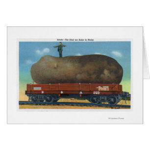 Vue du genre de pommes de terre augmentées au