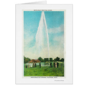 Vue du geyser de Myrtledale chez le Hot Springs