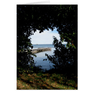Vue du lac de la fenêtre Arbre_Blanc