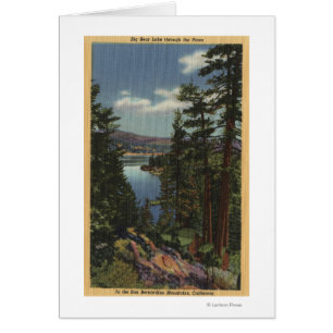 Vue du lac par les pins # 2