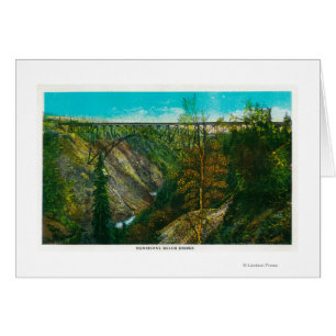 Vue du pont Hurricane Gulch, Alaska