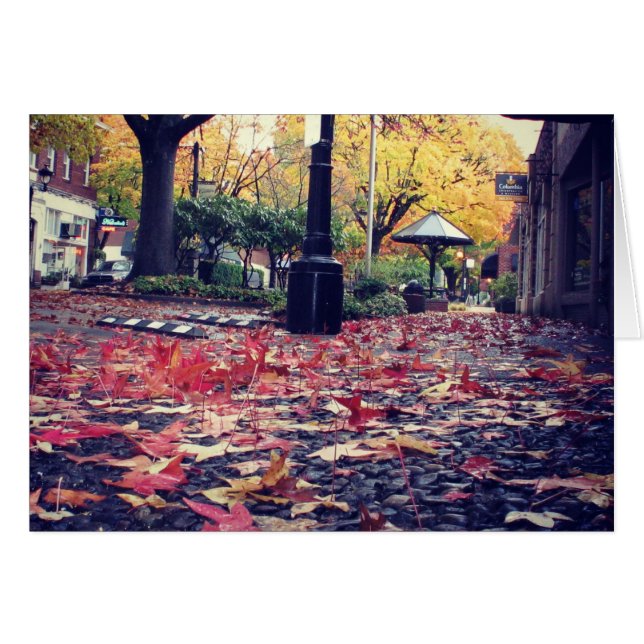 Vue du trottoir des feuilles d'automne (Devant horizontal)