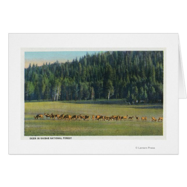 Vue d'un pack de paillage de cerfs (Devant horizontal)