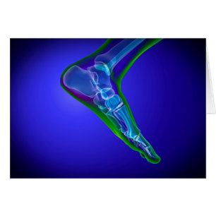 Vue En Rayon X Du Pied Humain 1