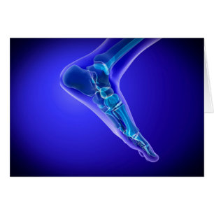 Vue En Rayon X Du Pied Humain 3