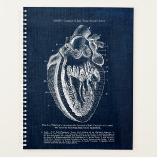 Vue intérieure de l'anatomie cardiaque humaine