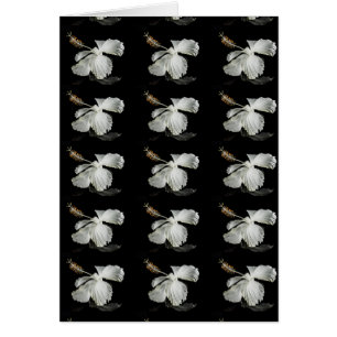 Vue latérale de l'Hibiscus blanc