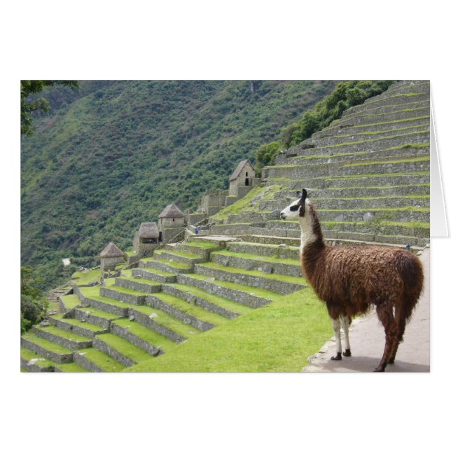 vue machu llama (Devant horizontal)
