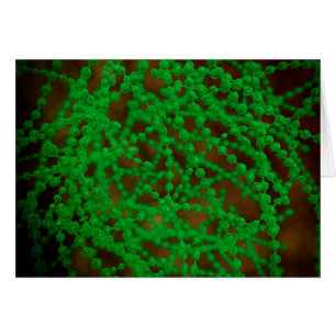 Vue microscopique de bactérie de coques