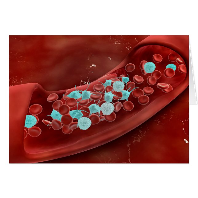 Vue Microscopique De La Cloture Du Sang (Devant horizontal)