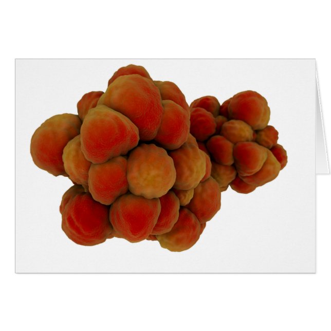 Vue Microscopique De La Tumeur 4 (Devant horizontal)