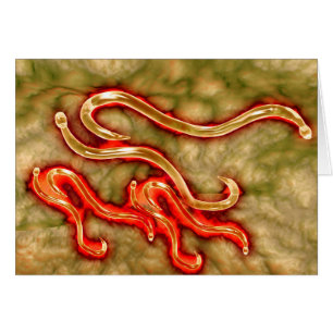 Vue microscopique de l'ankylostome 1